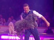 Circus Krone 2025 Weltpremiere von „Farbenspiel – Gold Edition“ im modernen Mega-Zelt