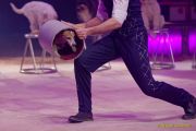 Circus Krone 2025 Weltpremiere von „Farbenspiel – Gold Edition“ im modernen Mega-Zelt