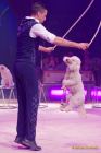 Circus Krone 2025 Weltpremiere von „Farbenspiel – Gold Edition“ im modernen Mega-Zelt