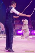 Circus Krone 2025 Weltpremiere von „Farbenspiel – Gold Edition“ im modernen Mega-Zelt