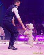 Circus Krone 2025 Weltpremiere von „Farbenspiel – Gold Edition“ im modernen Mega-Zelt