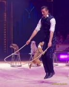 Circus Krone 2025 Weltpremiere von „Farbenspiel – Gold Edition“ im modernen Mega-Zelt