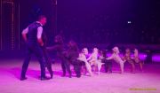 Circus Krone 2025 Weltpremiere von „Farbenspiel – Gold Edition“ im modernen Mega-Zelt
