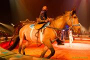 Circus Krone 2025 Weltpremiere von „Farbenspiel – Gold Edition“ im modernen Mega-Zelt