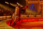 Circus Krone 2025 Weltpremiere von „Farbenspiel – Gold Edition“ im modernen Mega-Zelt