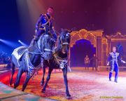 Circus Krone 2025 Weltpremiere von „Farbenspiel – Gold Edition“ im modernen Mega-Zelt