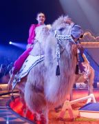 Circus Krone 2025 Weltpremiere von „Farbenspiel – Gold Edition“ im modernen Mega-Zelt