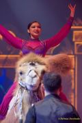 Circus Krone 2025 Weltpremiere von „Farbenspiel – Gold Edition“ im modernen Mega-Zelt
