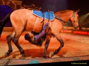 Circus Krone 2025 Weltpremiere von „Farbenspiel – Gold Edition“ im modernen Mega-Zelt