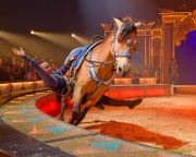 Circus Krone 2025 Weltpremiere von „Farbenspiel – Gold Edition“ im modernen Mega-Zelt