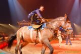 Circus Krone 2025 Weltpremiere von „Farbenspiel – Gold Edition“ im modernen Mega-Zelt
