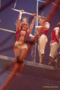 Circus Krone 2025 Weltpremiere von „Farbenspiel – Gold Edition“ im modernen Mega-Zelt