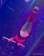 Circus Krone 2025 Weltpremiere von „Farbenspiel – Gold Edition“ im modernen Mega-Zelt