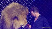 Circus Krone 2025 Weltpremiere von „Farbenspiel – Gold Edition“ im modernen Mega-Zelt