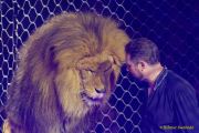 Circus Krone 2025 Weltpremiere von „Farbenspiel – Gold Edition“ im modernen Mega-Zelt