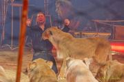 Circus Krone 2025 Weltpremiere von „Farbenspiel – Gold Edition“ im modernen Mega-Zelt