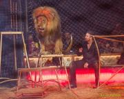 Circus Krone 2025 Weltpremiere von „Farbenspiel – Gold Edition“ im modernen Mega-Zelt