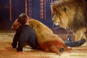 Circus Krone 2025 Weltpremiere von „Farbenspiel – Gold Edition“ im modernen Mega-Zelt