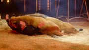Circus Krone 2025 Weltpremiere von „Farbenspiel – Gold Edition“ im modernen Mega-Zelt