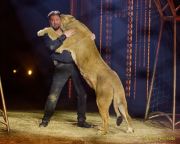 Circus Krone 2025 Weltpremiere von „Farbenspiel – Gold Edition“ im modernen Mega-Zelt