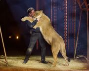 Circus Krone 2025 Weltpremiere von „Farbenspiel – Gold Edition“ im modernen Mega-Zelt