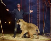 Circus Krone 2025 Weltpremiere von „Farbenspiel – Gold Edition“ im modernen Mega-Zelt