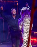 Circus Krone 2025 Weltpremiere von „Farbenspiel – Gold Edition“ im modernen Mega-Zelt