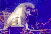 Circus Krone 2025 Weltpremiere von „Farbenspiel – Gold Edition“ im modernen Mega-Zelt