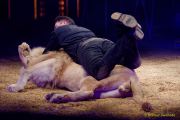 Circus Krone 2025 Weltpremiere von „Farbenspiel – Gold Edition“ im modernen Mega-Zelt