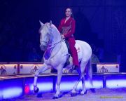 Circus Krone 2025 Weltpremiere von „Farbenspiel – Gold Edition“ im modernen Mega-Zelt