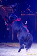 Circus Krone 2025 Weltpremiere von „Farbenspiel – Gold Edition“ im modernen Mega-Zelt