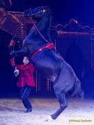 Circus Krone 2025 Weltpremiere von „Farbenspiel – Gold Edition“ im modernen Mega-Zelt