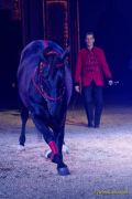 Circus Krone 2025 Weltpremiere von „Farbenspiel – Gold Edition“ im modernen Mega-Zelt
