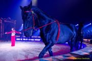 Circus Krone 2025 Weltpremiere von „Farbenspiel – Gold Edition“ im modernen Mega-Zelt