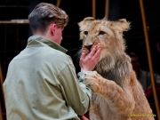 Circus Krone - kommentierten Tierproben Krone Bau München 2026