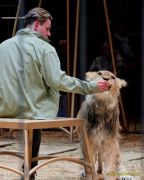 Circus Krone - kommentierten Tierproben Krone Bau München 2026