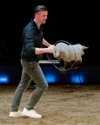 Circus Krone - kommentierten Tierproben Krone Bau München 2026