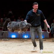 Circus Krone - kommentierten Tierproben Krone Bau München 2026