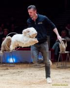 Circus Krone - kommentierten Tierproben Krone Bau München 2026