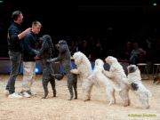 Circus Krone - kommentierten Tierproben Krone Bau München 2026