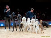 Circus Krone - kommentierten Tierproben Krone Bau München 2026