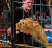 Circus Krone - kommentierten Tierproben Krone Bau München 2026