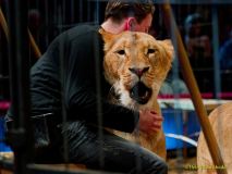 Circus Krone - kommentierten Tierproben Krone Bau München 2026