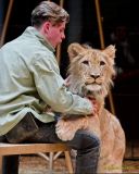 Circus Krone - kommentierten Tierproben Krone Bau München 2026