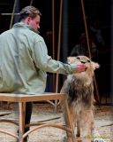 Circus Krone - kommentierten Tierproben Krone Bau München 2026