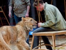 Circus Krone - kommentierten Tierproben Krone Bau München 2026