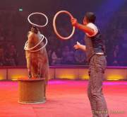 d191225-184823-040-100-circus_krone-hereinspaziert-manege_frei-premiere