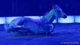 d191225-192230-350-100-circus_krone-hereinspaziert-manege_frei-premiere