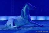 d191225-192231-460-100-circus_krone-hereinspaziert-manege_frei-premiere