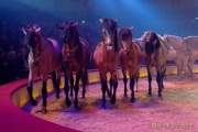 d191225-192603-360-100-circus_krone-hereinspaziert-manege_frei-premiere